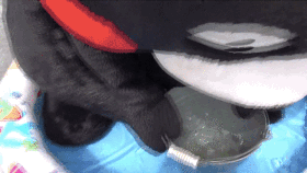 一隻熊養活一座城,這個文創IP比故宮淘寶還牛 一隻熊養活一座城,這個文創IP比故宮淘寶還牛