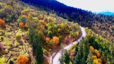 走完這條路，我和陌生人成為了親兄弟