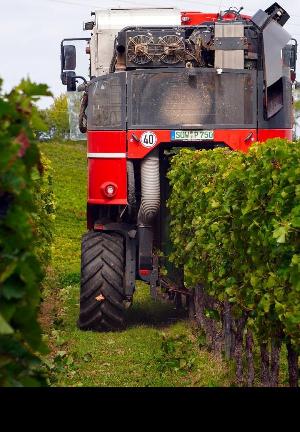 果園裡面也能使用收割機嗎? 果園裡面也能使用收割機嗎?