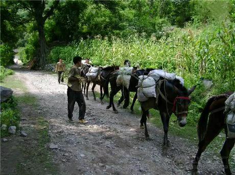 傳奇故事:擒敵奪黃金 傳奇故事:擒敵奪黃金