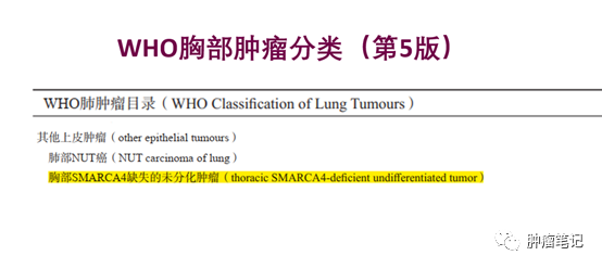 罕見腫瘤之SMARCA4缺失型肺癌