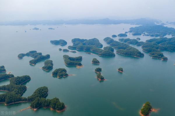 千島湖的“淨水魚”:鰱鱅放養60多年,水庫“魚王”到底有多大? 千島湖的“淨水魚”:鰱鱅放養60多年,水庫“魚王”到底有多大?