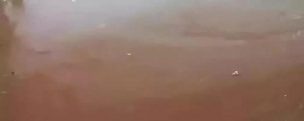 2016年，雲南深山出現&quot&semi;失魂塘&quot&semi;&comma;動物靠近離奇死亡，專家一探究竟