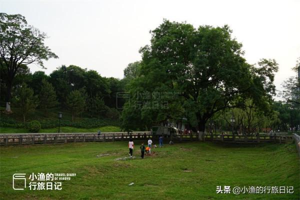 西安鬧市這片“荒地”,竟是唐朝長安城罕見的真實遺蹟,你知道嗎 西安鬧市這片“荒地”,竟是唐朝長安城罕見的真實遺蹟,你知道嗎