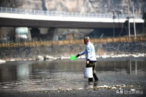 愛鳥護鳥、持之以恆!房山這對夫婦用愛心榮獲“首都文明家庭”! 愛鳥護鳥、持之以恆!房山這對夫婦用愛心榮獲“首都文明家庭”!