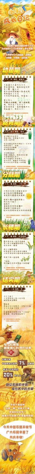 水稻成長日記