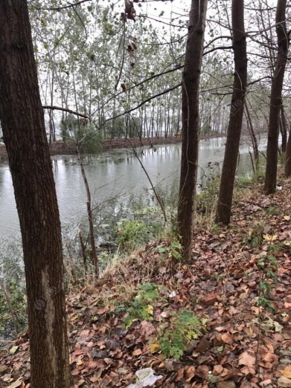 2021垂釣日誌之65,成子湖支流冒雨揮竿拿鯽魚 2021垂釣日誌之65,成子湖支流冒雨揮竿拿鯽魚