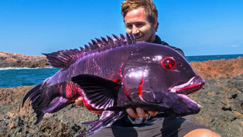 我應該是世界上第一個釣到此魚之人