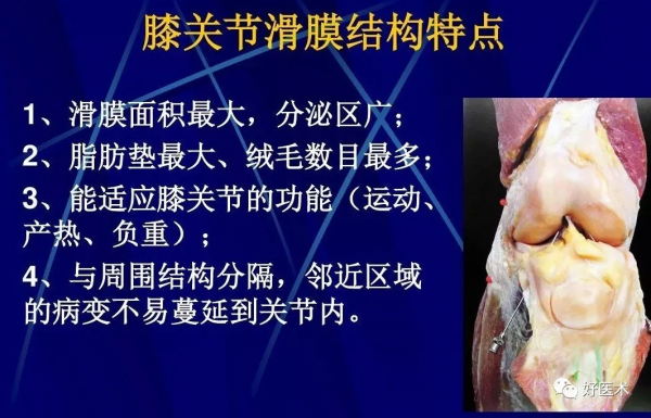 86張全身關節應用解剖精講，這篇文章值得收藏