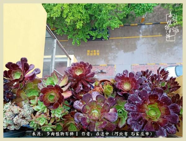 落葉知秋,願你安好 落葉知秋,願你安好