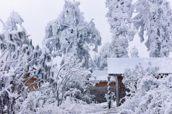 王崗坪山頂的木屋、霧凇景象，是眾人眼中的童話世界
