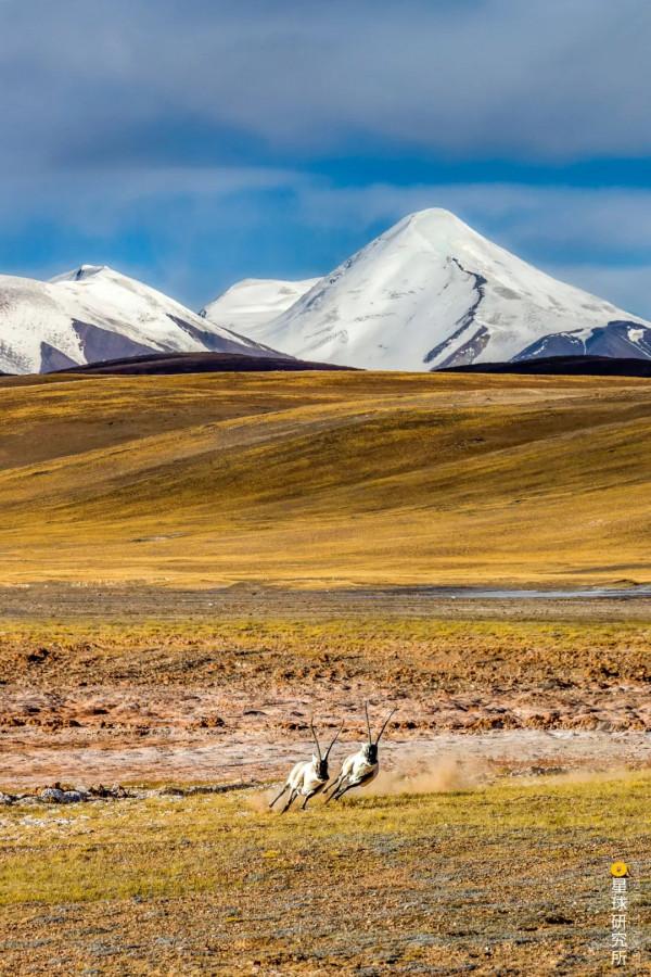 出發！看中國五大國家公園