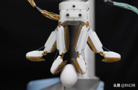 新發明機械手 靈感源於壁虎 新發明機械手 靈感源於壁虎