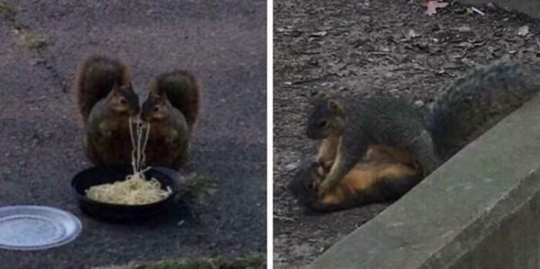 30張罕見的照片，河馬的嘴能有多大，日本廣島核彈後的慘淡