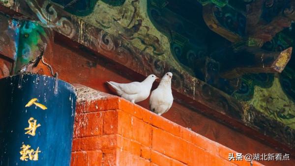 秋天最美的7大城市