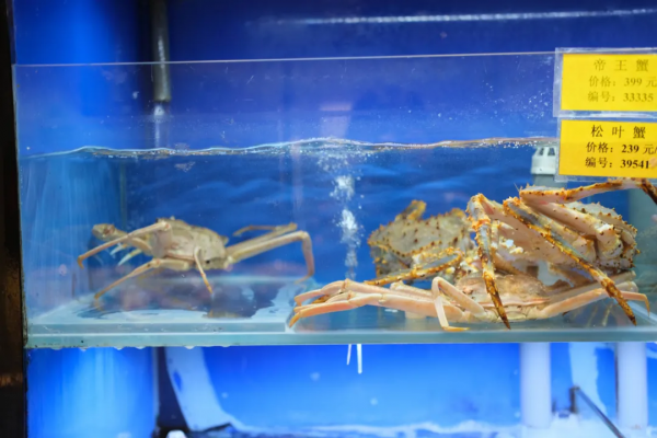 最近做夢都夢到吃海鮮，馬上跑到寧波吃個痛快