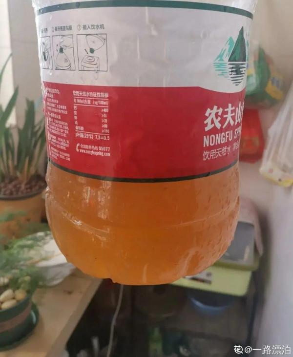 10種“垃圾”不要丟,拿來養花效果好,還能省下一筆錢 10種“垃圾”不要丟,拿來養花效果好,還能省下一筆錢