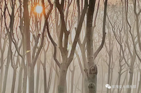 2021倒計時｜時間都去哪兒了