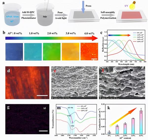 四川大學金勇教授課題組:高度仿生的多功能光電雙感測離子面板 四川大學金勇教授課題組:高度仿生的多功能光電雙感測離子面板