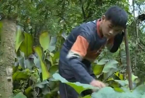 堅強孤兒韋仁龍:父母雙亡,靠挖野菜生活,父母墳前發誓好好學習 堅強孤兒韋仁龍:父母雙亡,靠挖野菜生活,父母墳前發誓好好學習