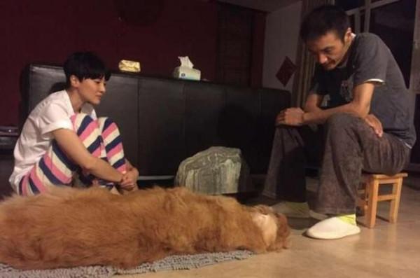 選擇丁克夫妻的6對明星,有人心疼妻子受苦,有人裸捐全部財產 選擇丁克夫妻的6對明星,有人心疼妻子受苦,有人裸捐全部財產