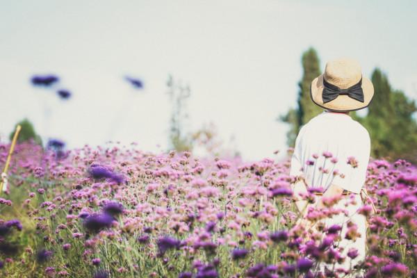 心理學:聰明女人和笨女人的區別就在於,是否喜歡“不合群” 心理學:聰明女人和笨女人的區別就在於,是否喜歡“不合群”