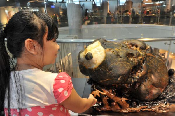 奇形怪狀的石頭