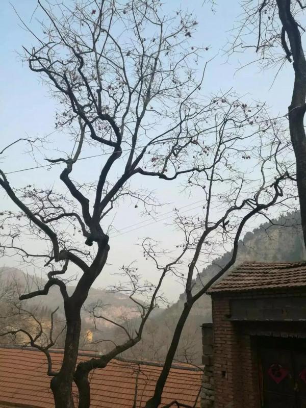 唐莊黃石屋聖峪口攀爬 唐莊黃石屋聖峪口攀爬