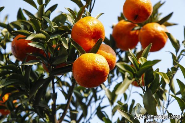 若沿中國北亞熱帶邊緣走一趟，你會看到哪些令人詫異的自然景觀？