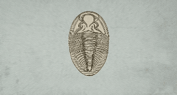 五億年前的軍備競賽,寒武紀動物們的攻掠與防守,誰才是贏家? 五億年前的軍備競賽,寒武紀動物們的攻掠與防守,誰才是贏家?