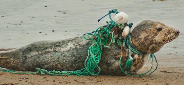 2021年度CNN評選十大英雄人物，看看他們的故事