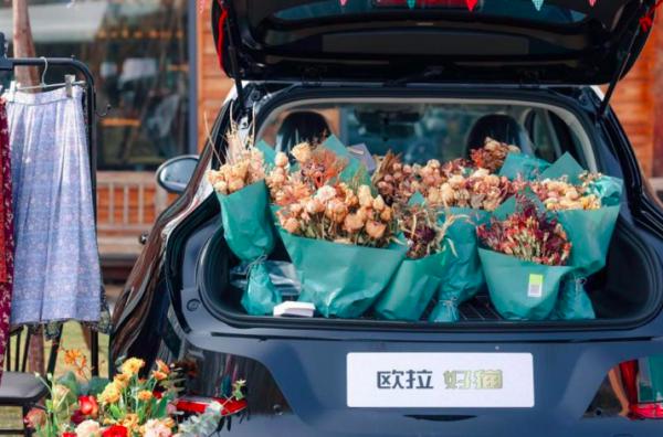 卡位精準、好看好開，尤拉有隻能抓老鼠的“好貓”丨壹體驗