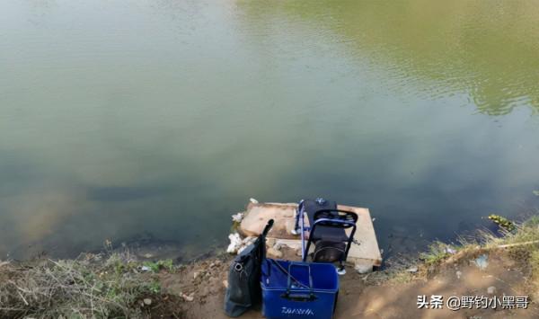 釣魚入坑必備品，都幫你總結好了，增加出魚量