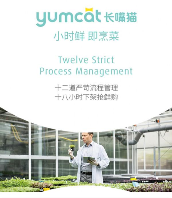 食用知乎丨上班族肥胖傷不起，健康食物吃起來