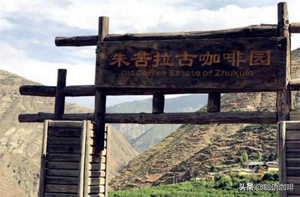 一個咖啡人的朝聖——朱苦拉 一個咖啡人的朝聖——朱苦拉