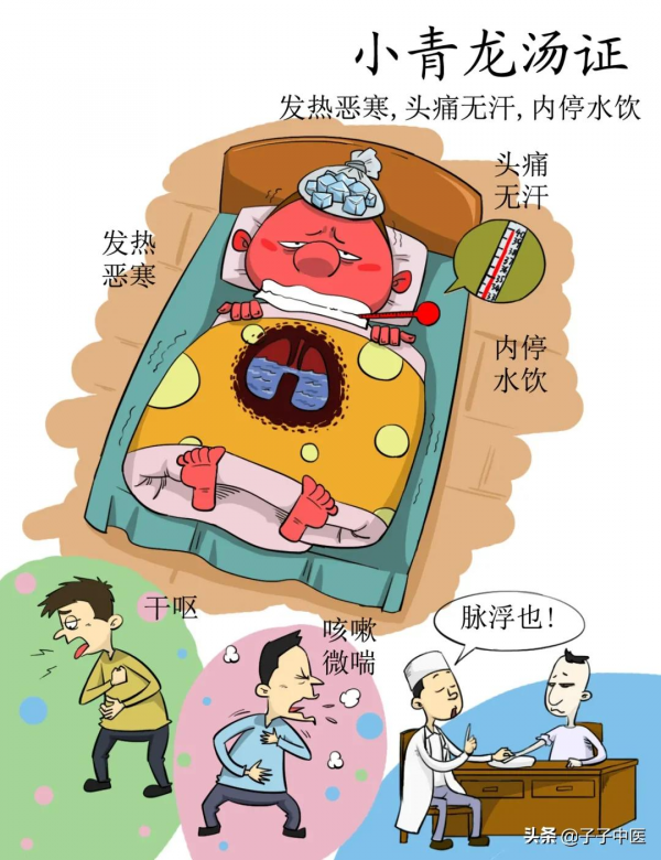 全本《傷寒論》高畫質漫畫版——簡單、好看、好掌握 全本《傷寒論》高畫質漫畫版——簡單、好看、好掌握