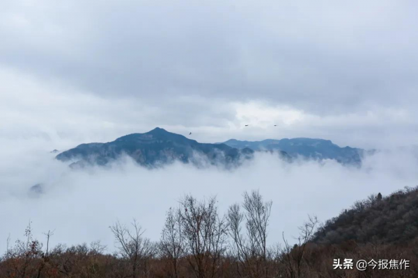 冬日雲海美出新高度！雨後的雲臺山“仙氣飄飄”