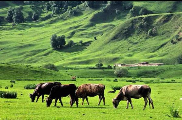 尊重自己才能得到別人的尊重 尊重自己才能得到別人的尊重