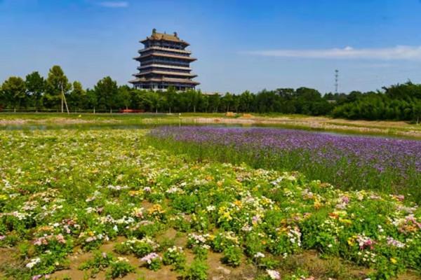 喜報 | 全國4A級景區500強榜單釋出，鸛雀樓景區入列十強