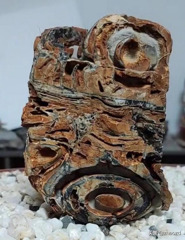 靚麗怪異奇石觀賞