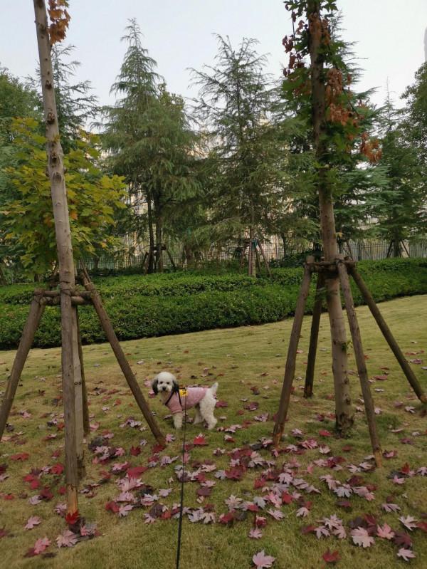 兒子解讀：盡信書不如無書