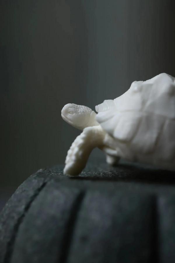 鹿角-「富甲天下」