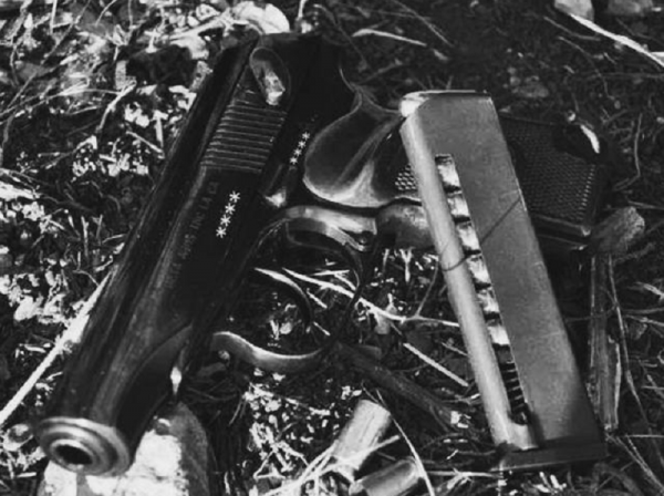 殺害譚甫仁中將的兇手飲彈斃命，為何82天后保衛部部長選擇自縊？