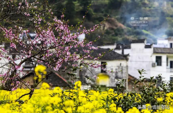 適合兩個人打卡的旅行清單，看完收藏