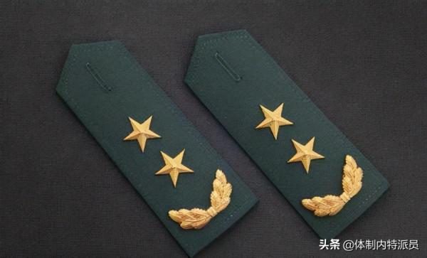 目前共有多少個副戰區級規格的單位（部門）？