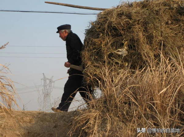 20年前，農村的冬天是這樣的，70後和80後們百看不厭
