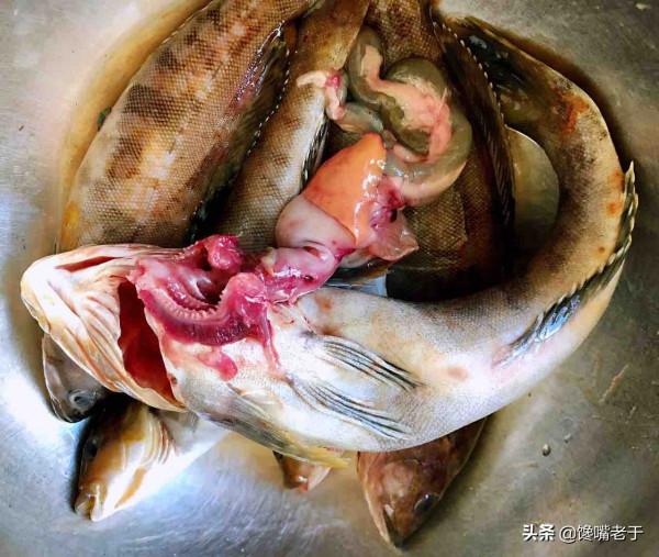 魚身上“最精華”的3個部位，魚販子都留下自己吃，比魚翅還珍貴
