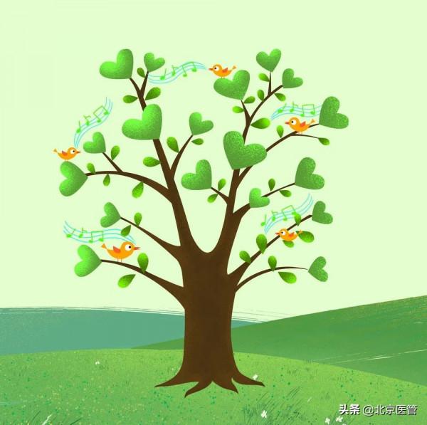 熬夜,不僅會禿頭,還可能耳聾? 熬夜,不僅會禿頭,還可能耳聾?