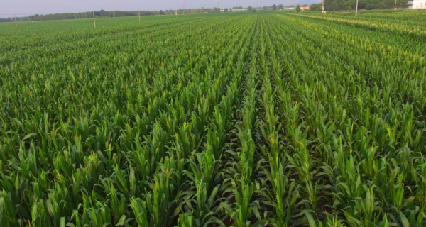 2021年令人印象深刻的十大科技突破 2021年令人印象深刻的十大科技突破