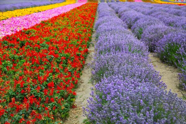 此生必去的30個最美景點，後悔只去過10個，你目前去過幾個？